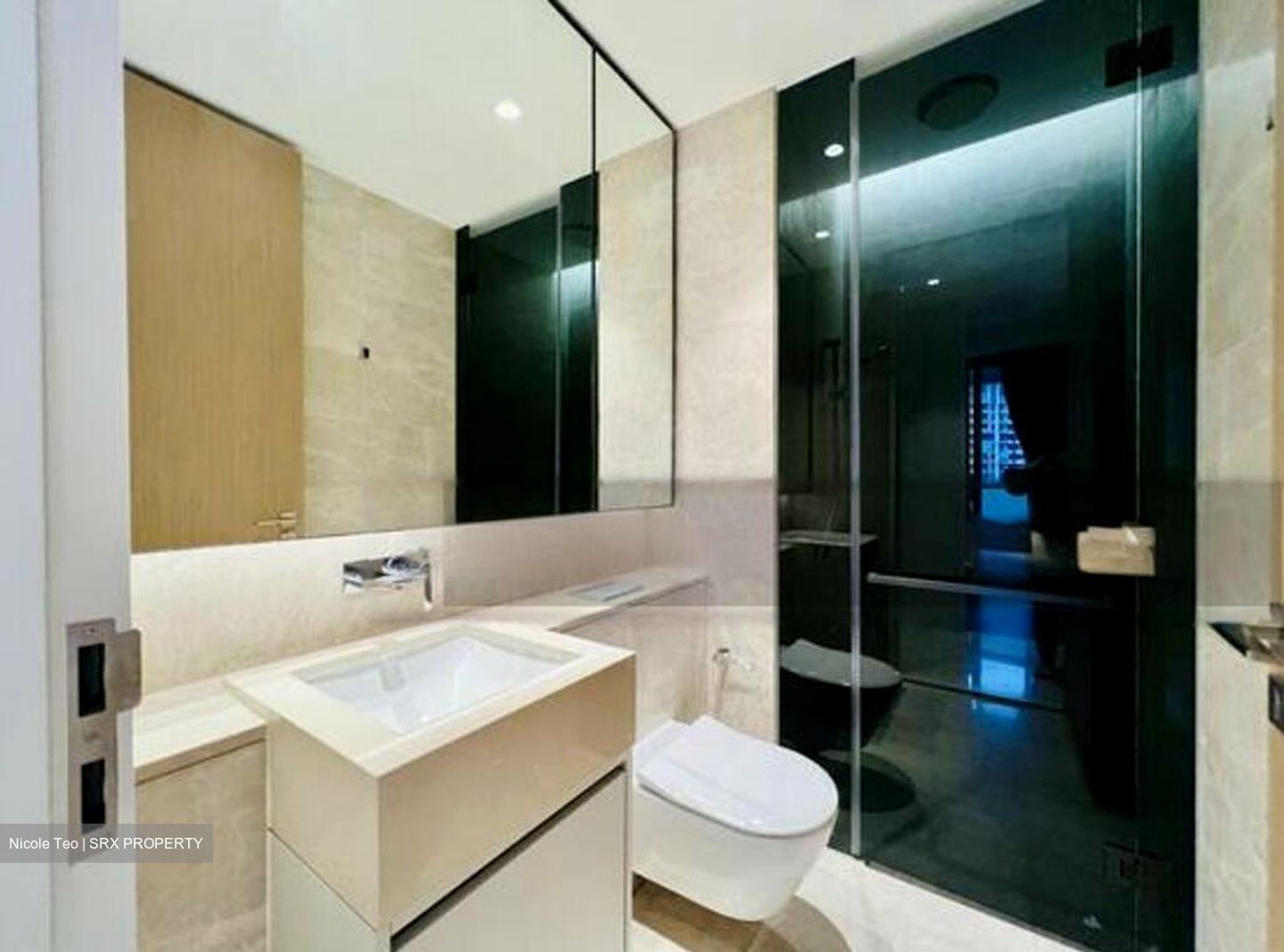 Amber Park (D15), Condominium #569942101